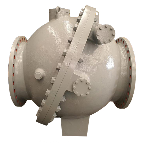 Multi Door Check Valve