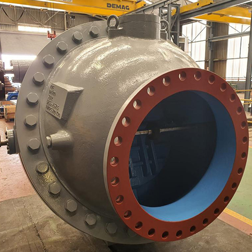 Multi Door Check Valve