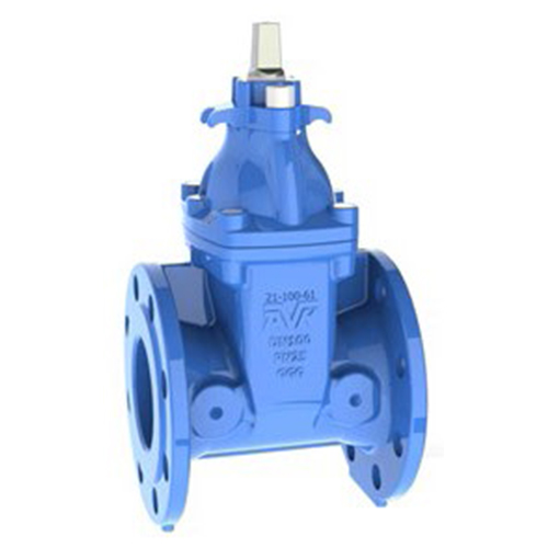Series 21/60 RSV Flanged Gate Valve
